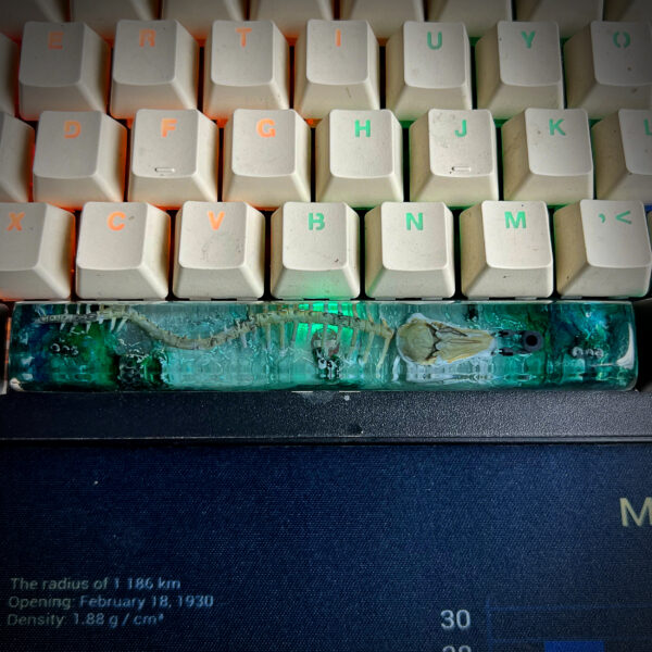 Leviathan Space Keycap